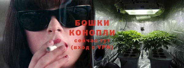ГАЛЛЮЦИНОГЕННЫЕ ГРИБЫ Лагань