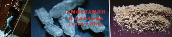 ГАЛЛЮЦИНОГЕННЫЕ ГРИБЫ Лагань
