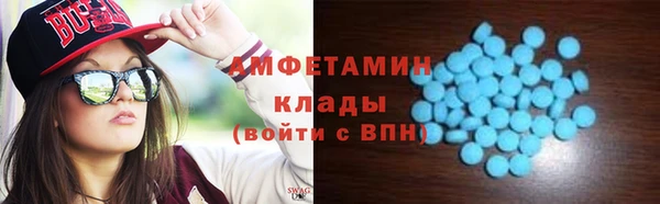 ГАЛЛЮЦИНОГЕННЫЕ ГРИБЫ Лагань
