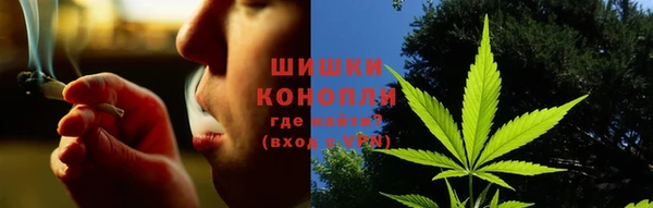 стафф Ладушкин