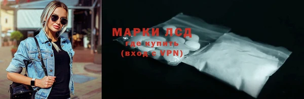 ГАЛЛЮЦИНОГЕННЫЕ ГРИБЫ Лагань