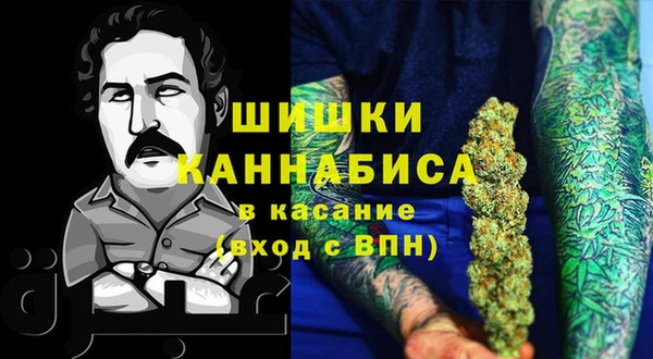 ГАЛЛЮЦИНОГЕННЫЕ ГРИБЫ Лагань