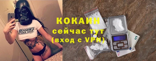 ГАЛЛЮЦИНОГЕННЫЕ ГРИБЫ Лагань