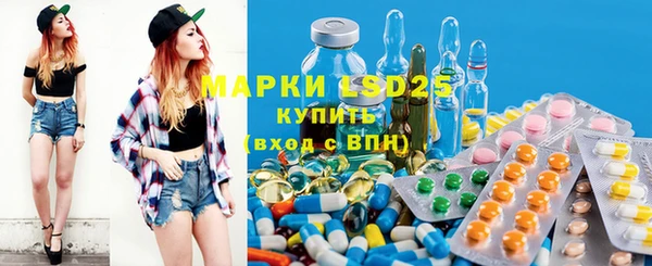 ГАЛЛЮЦИНОГЕННЫЕ ГРИБЫ Лагань