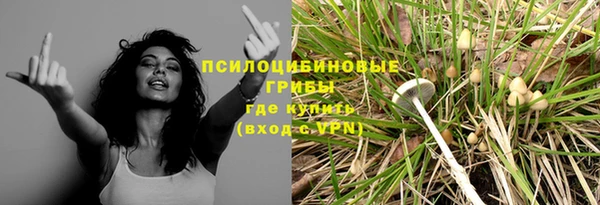 МДПВ Магас