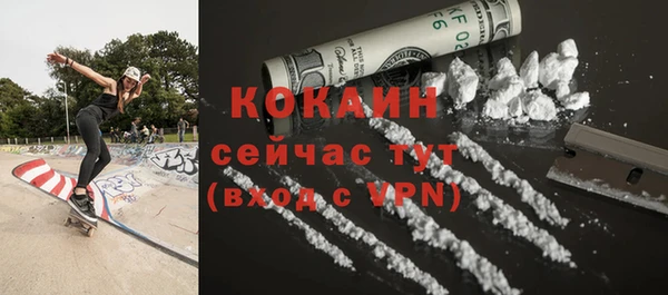 стафф Ладушкин