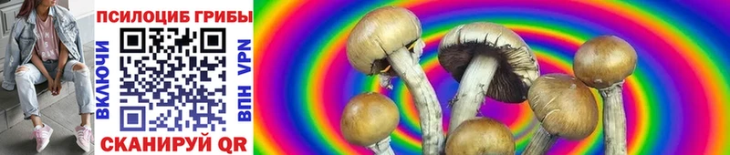 Псилоцибиновые грибы Cubensis Михайловка