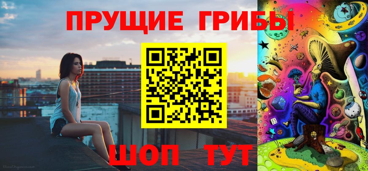 Псилоцибиновые грибы ЛСД Михайловка