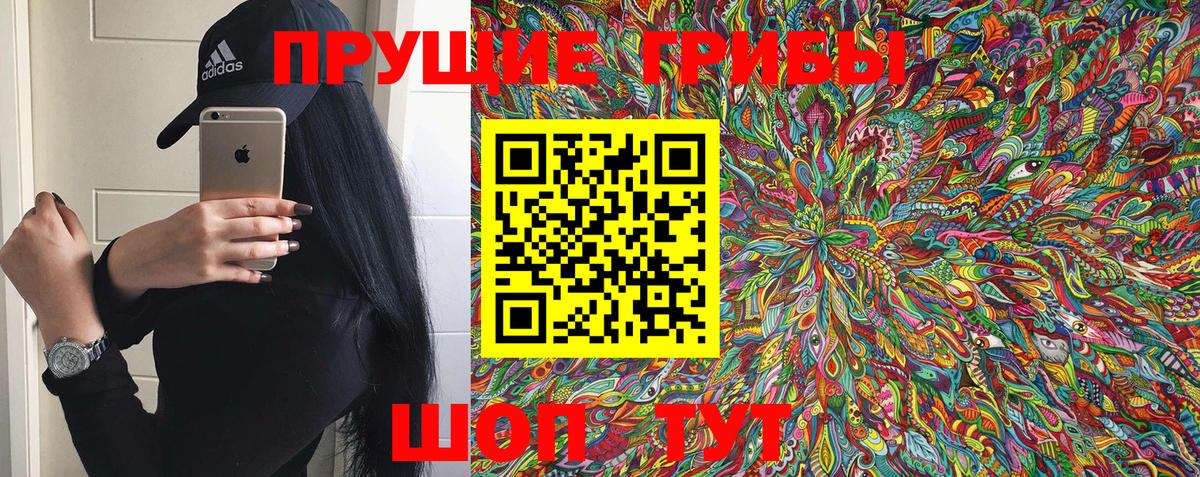 Псилоцибиновые грибы Cubensis  Галлюциногенные грибы GOLDEN TEACHER  Михайловка 